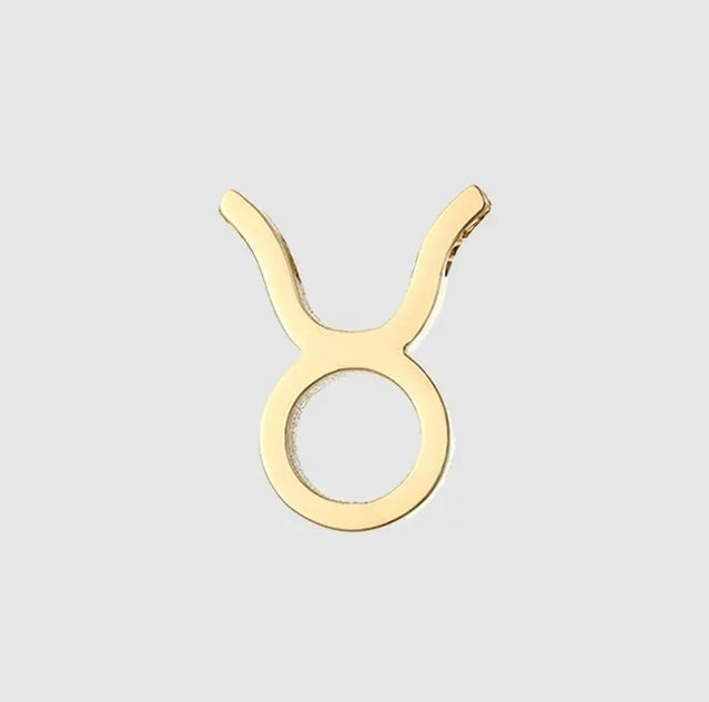 Star Sign Charms