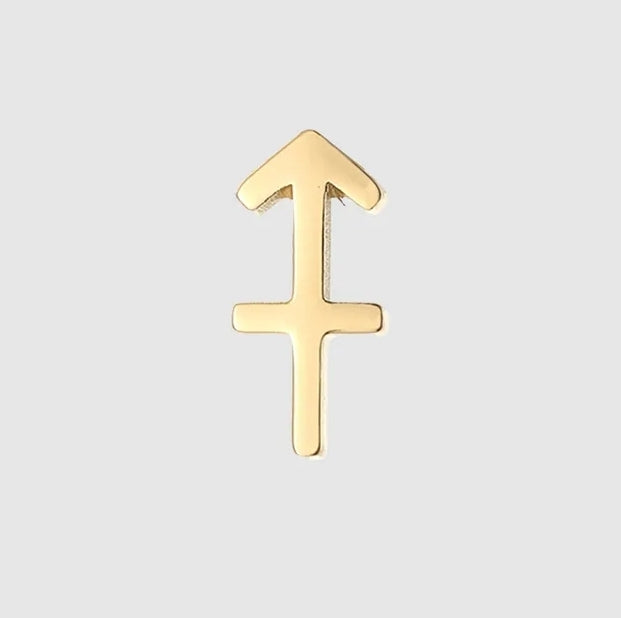Star Sign Charms