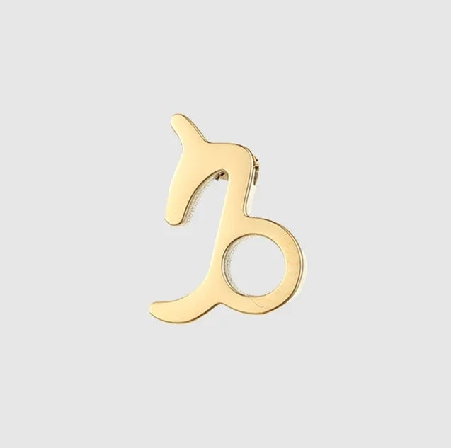 Star Sign Charms